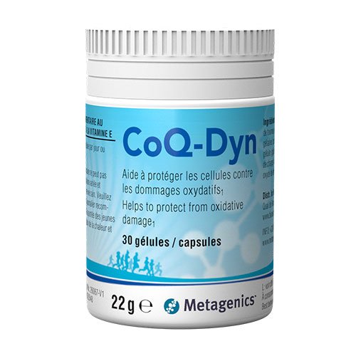 Coq-Dyn