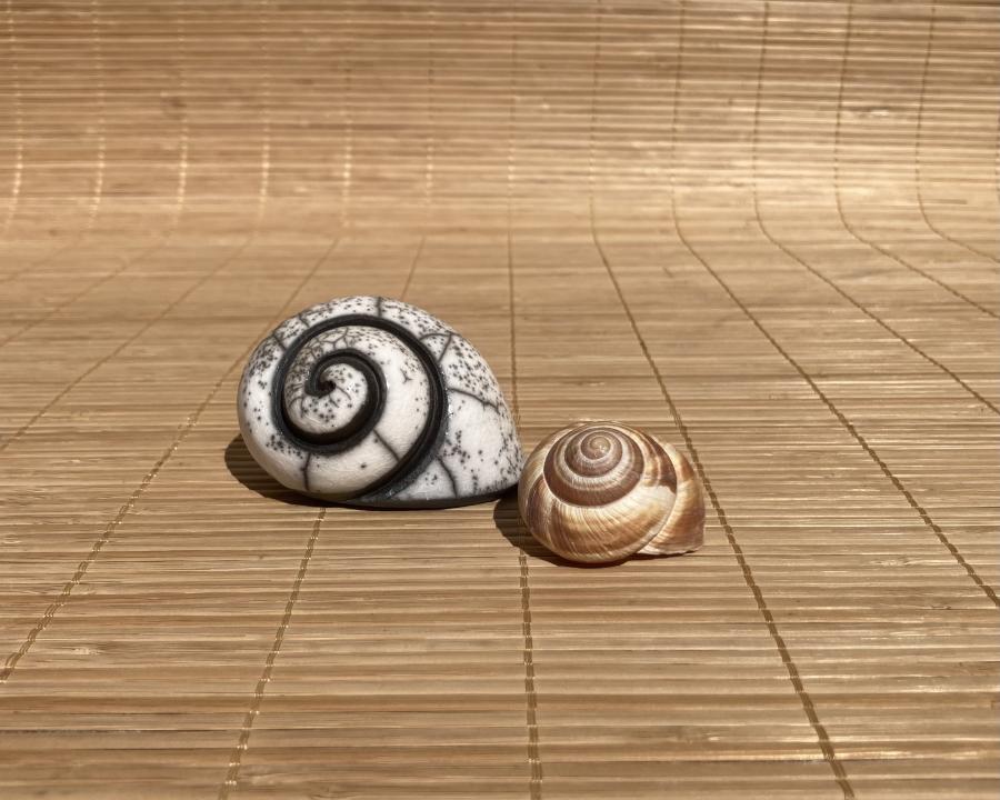 Escargots 8cm