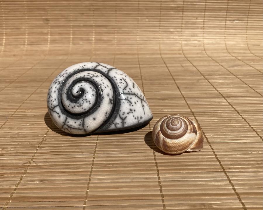 Escargots 10cm