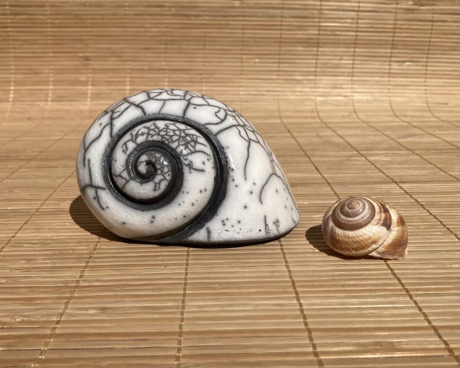 Escargots 13cm